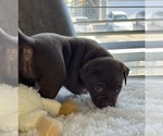 Small #3 Breeder Profile image