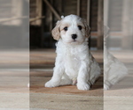 Small #18 Breeder Profile image