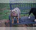 Small #10 Breeder Profile image