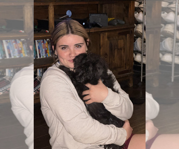 Medium Photo #9  Breeder Profile in ENID, OK, USA