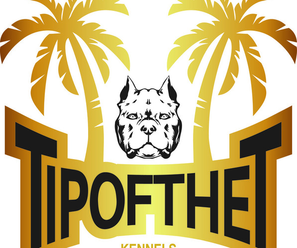 Medium Photo #1  Breeder Profile in BROWNSVILLE, TX, USA