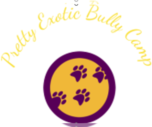Medium Photo #1  Breeder Profile in VERO BEACH, FL, USA