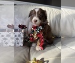 Small #30 Breeder Profile image