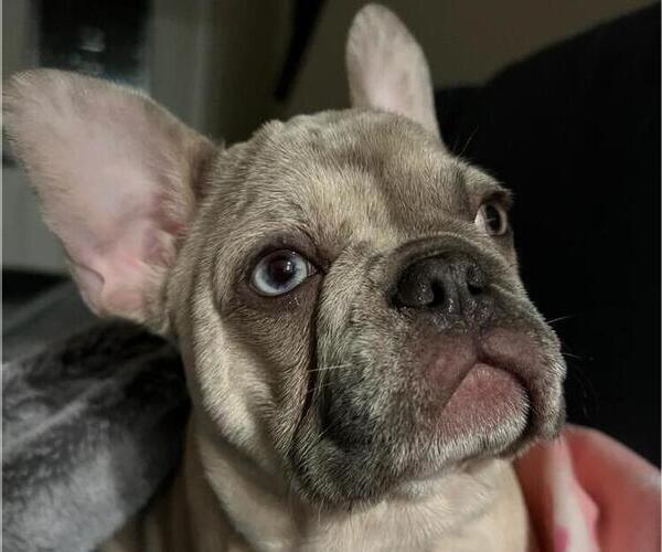 Medium Photo #16  Breeder Profile in BLAKESBURG, IA, USA