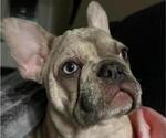 Small #15 Breeder Profile image