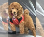 Small #3 Breeder Profile image