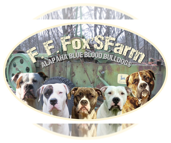 Medium Photo #1  Breeder Profile in SHELOCTA, PA, USA