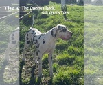 Small #9 Breeder Profile image