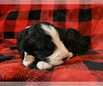 Small #25 Breeder Profile image