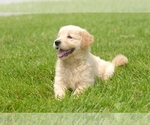 Small #4 Breeder Profile image