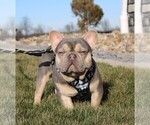 Small #2 Breeder Profile image