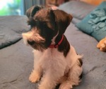 Small #15 Breeder Profile image