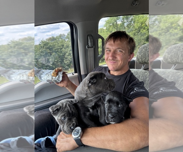 Medium Photo #1  Breeder Profile in CLARKRANGE, TN, USA