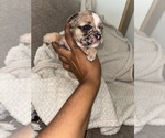 Small #3 Breeder Profile image