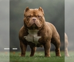 Small #11 Breeder Profile image