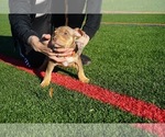 Small #12 Breeder Profile image