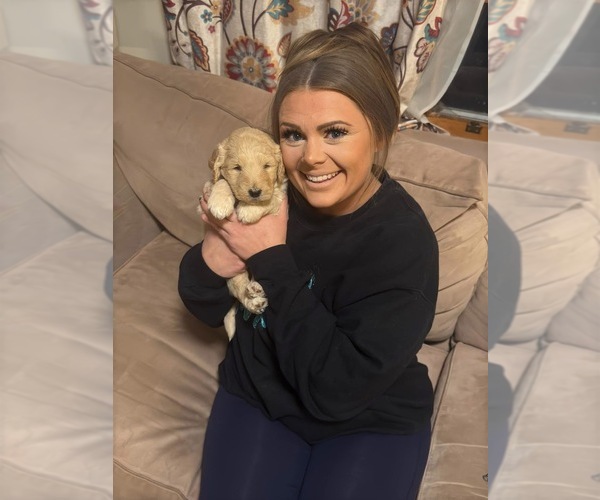 Medium Photo #1  Breeder Profile in BIG STONE GAP, VA, USA