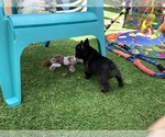 Small #16 Breeder Profile image