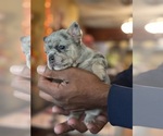 Small #44 Breeder Profile image