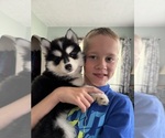 Small #37 Breeder Profile image