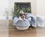 Small #24 Breeder Profile image