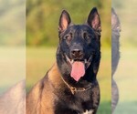 Small #6 Breeder Profile image