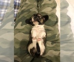 Small #15 Breeder Profile image