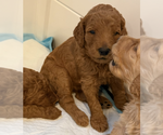 Small #13 Breeder Profile image