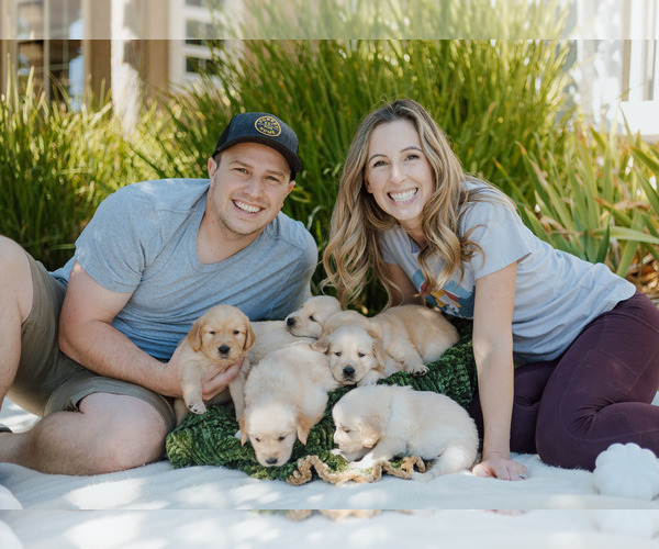 Medium Photo #1  Breeder Profile in YUCAIPA, CA, USA