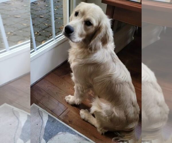 Medium Photo #13  Breeder Profile in Aylmer, Ontario, Canada