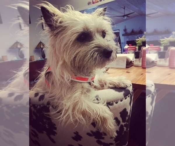 Medium Photo #49  Breeder Profile in FAIR OAKS, CA, USA