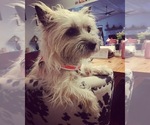 Small #48 Breeder Profile image