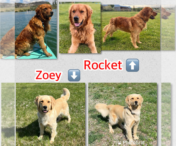 Medium Photo #5  Breeder Profile in TONASKET, WA, USA