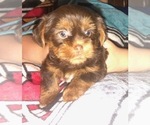 Small #30 Breeder Profile image