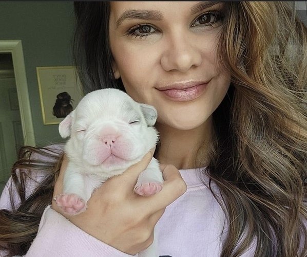 Medium Photo #1  Breeder Profile in ALEXANDER CITY, AL, USA