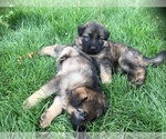 Small #19 Breeder Profile image