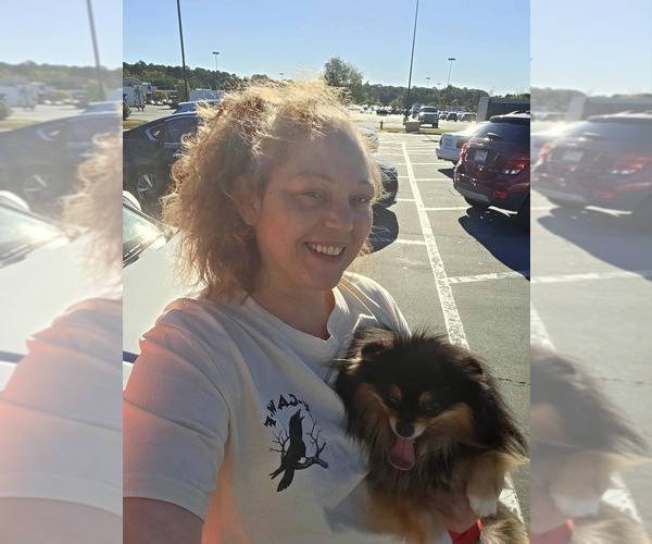 Medium Photo #1  Breeder Profile in MEHERRIN, VA, USA