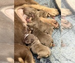 Small #21 Breeder Profile image