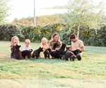 Small breeder photo