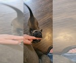 Small #25 Breeder Profile image