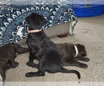 Small #10 Breeder Profile image