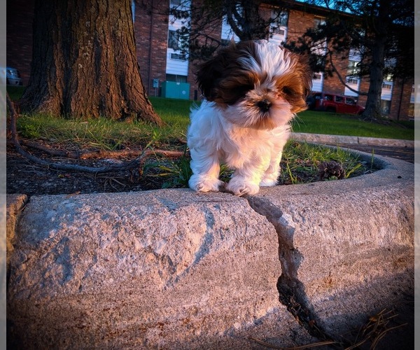 Medium Photo #1  Breeder Profile in LITTLE FALLS, MN, USA