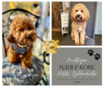 Small #52 Breeder Profile image