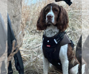 Medium Breeder Profile Photo