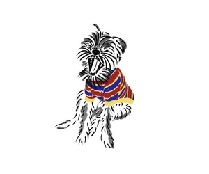 Brussels Griffon Dog Breeder near SCOTTSDALE, AZ, USA