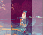 Small #6 Breeder Profile image