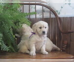 Small #4 Breeder Profile image