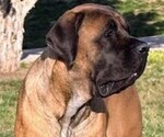 Small #2 Breeder Profile image