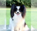 Small #1 Breeder Profile image