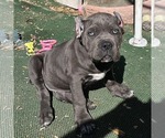 Small #3 Breeder Profile image